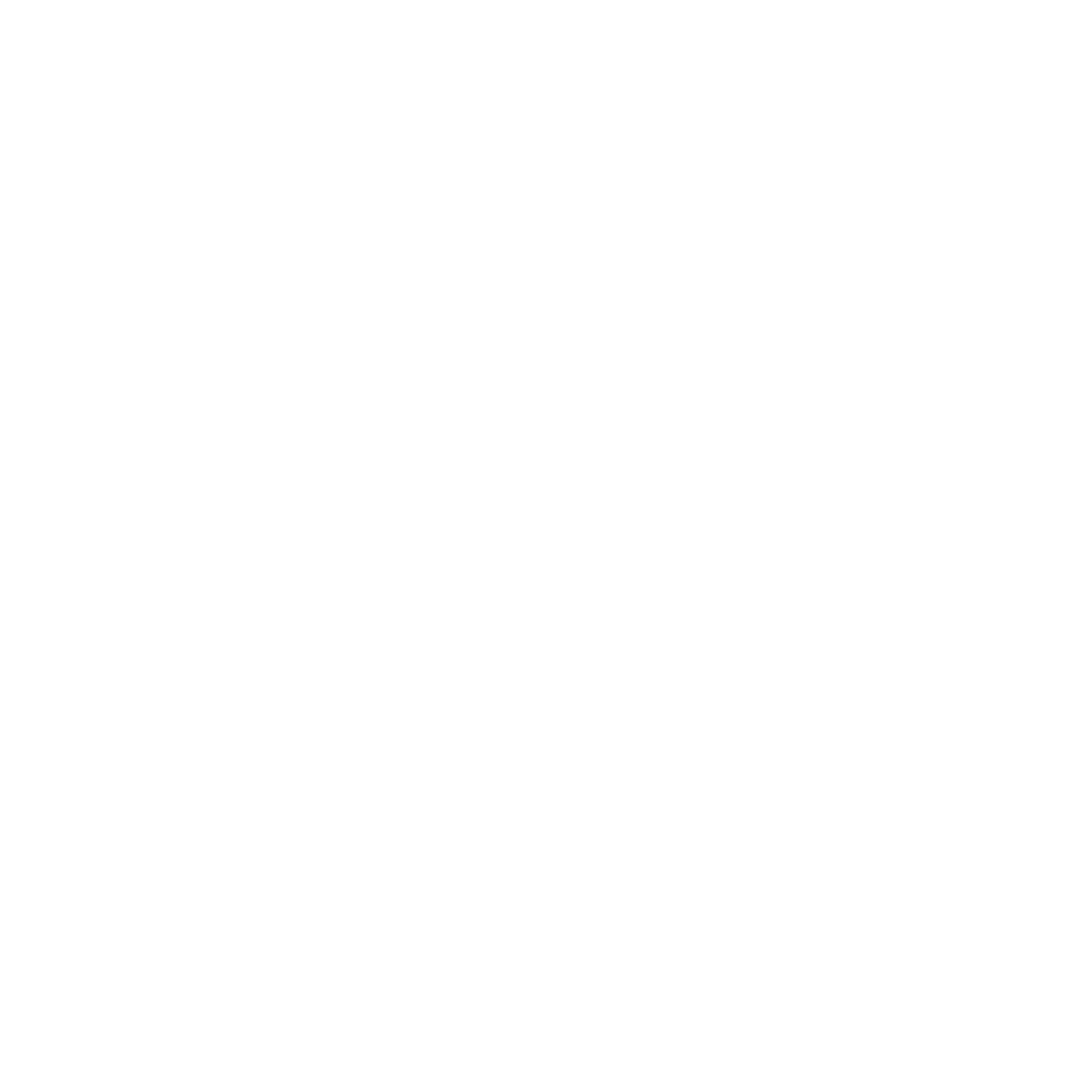 Remote Access Network Icon