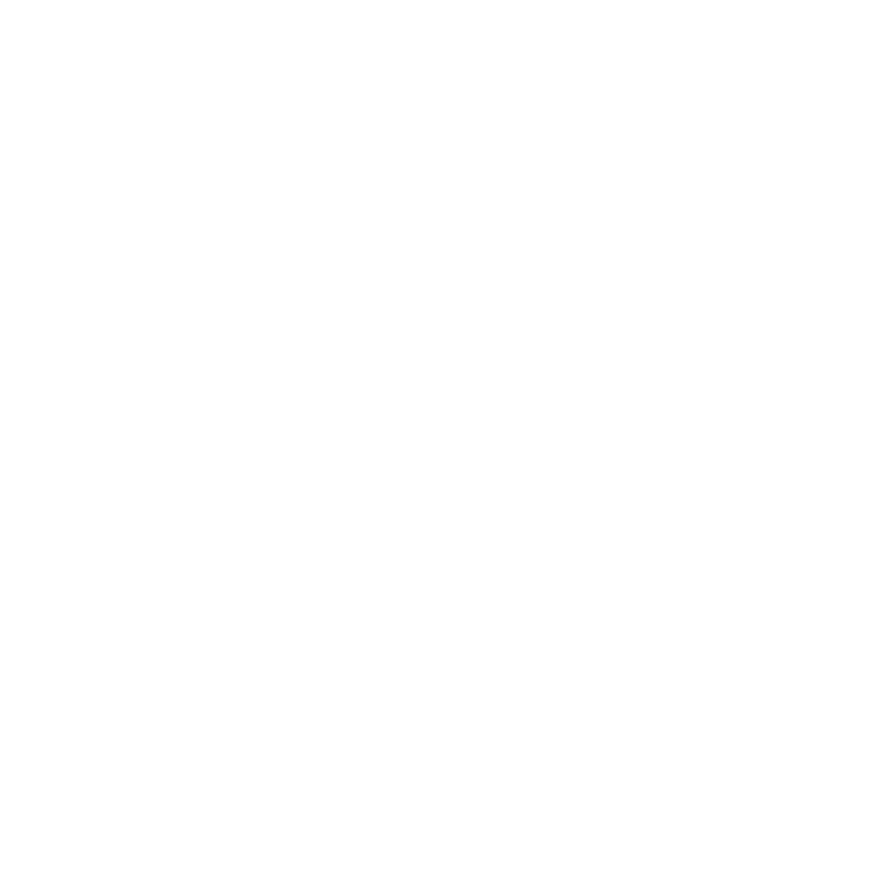 Security Camera Icon